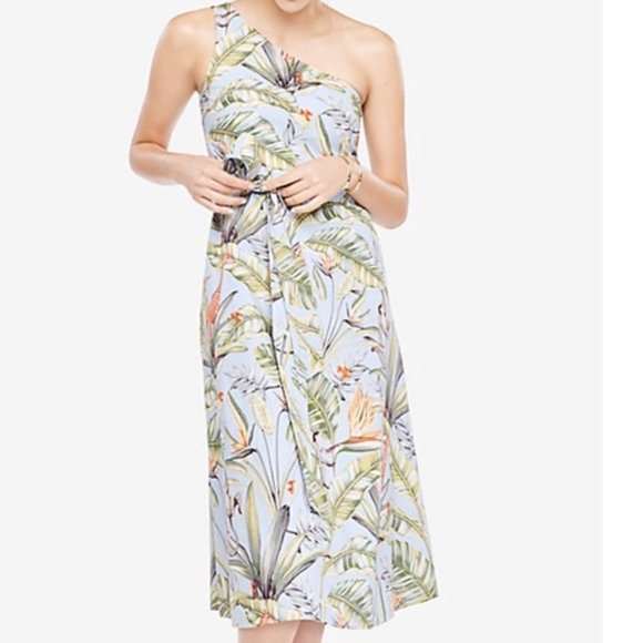 Ann Taylor Dresses & Skirts - Montauk Midi Dress